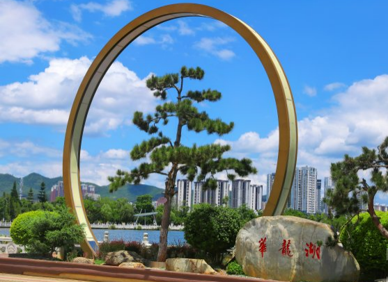 花卉植被高低错落,交相呼应,营造出独一份文山城色彩缤纷的花海绿洲