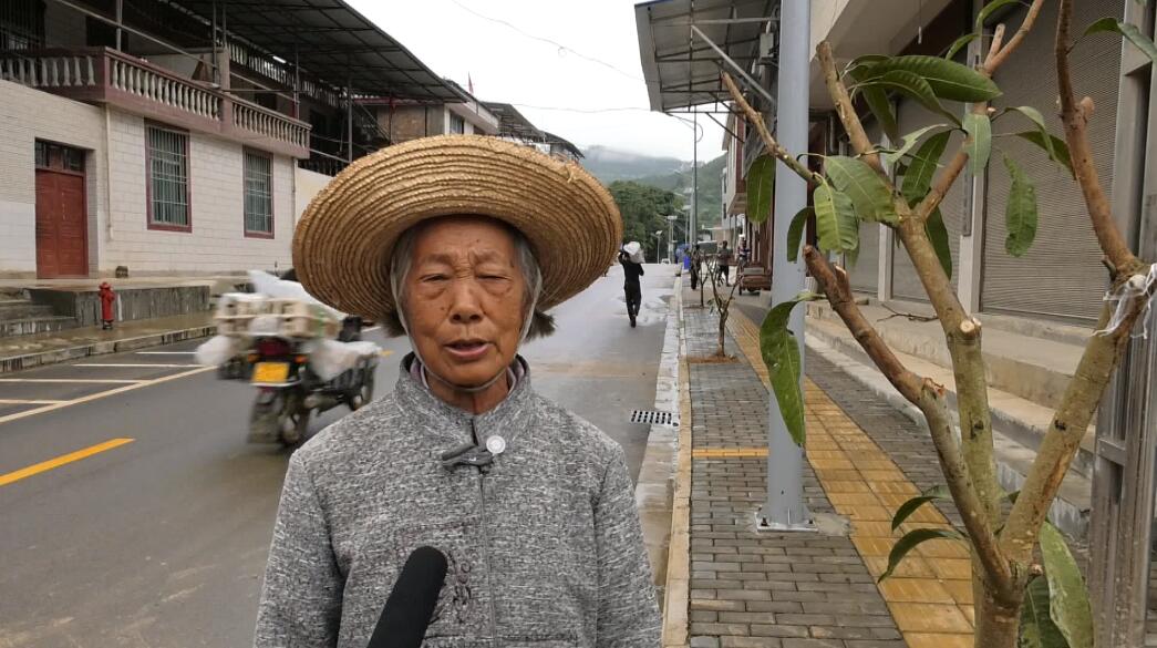 麻栗坡县八布乡 群众  李彩英 : 今天他们来栽树我也感谢他们,在我家